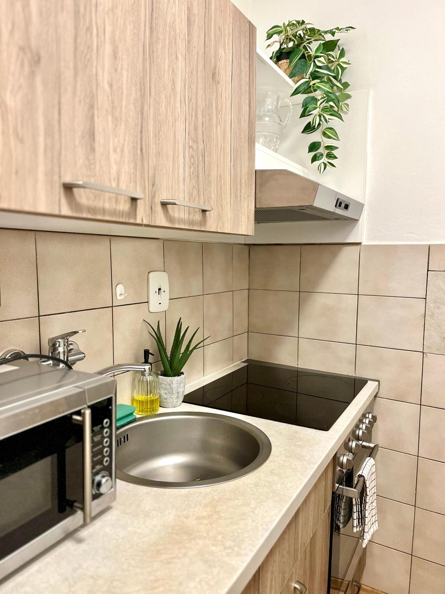 Apartment Simona - Old Town ブラチスラヴァ エクステリア 写真